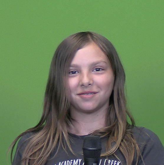 Emmy Metz
